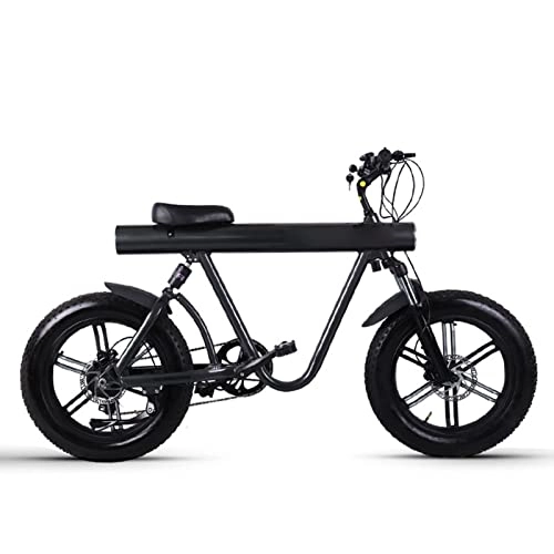 Electric Bike : FMOPQ Men Electric Bike Fat Tire 20 Inch Mountain Electric Bicycles750w High Speed Motor 48v Lithium Battery E Bike (Color : Black)