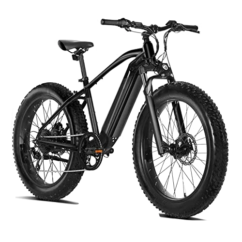 Electric Bike : HMEI Electric Bikes for Adults 750W Electric Bike for Adults 48V 16Ah Lithium-Ion Battery Removable 26'' Fat Tire Ebike 25mph Snow Beach Mountain E-Bike