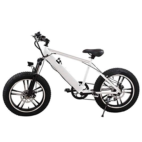 Electric Bike : HWOEK Adults Mountain Electric Bike, with 250W Motor 20 Inches 4.0 Wide Tire Snowmobile Removable Battery Dual Disc Brakes Urban Commuter E-Bike Unisex, White