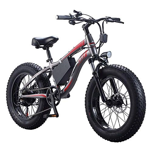 Electric Bike : HY-WWK Adults Beach Electric Bike, 250W Waterproof Motor 20 Inches 4.0 Fat Tire Electric Bicycle 7 Speed Shifter Dual Disc Brakes Snowmobile Removable Battery