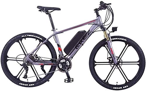 Electric Bike : Leifeng Tower High-speed 26 Inch Electric Bike Electric Mountain Bike 350W Ebike Electric Bicycle, 30Km / H Adults Ebike with Removable Battery, Suitable for All Terrain (Color : Silver)
