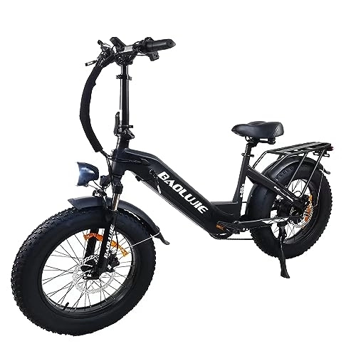 Electric Bike : LONG SENG electric bicycle, 20" x4.0 fat tire electric bicycle, 48V 12AH lithium ion battery commuter electric bicycle and 7-speed adult electric bicycle have passed UL GCC certification (Black)