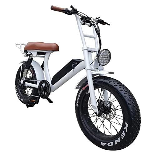 Electric Bike : LWL Electric Bike for Adults 48V 750W Electric Bicycle 20 Inch Fat Tire Snow Beach Mountain Ebike Throttle & Pedal Assist Ebike (Color : White)