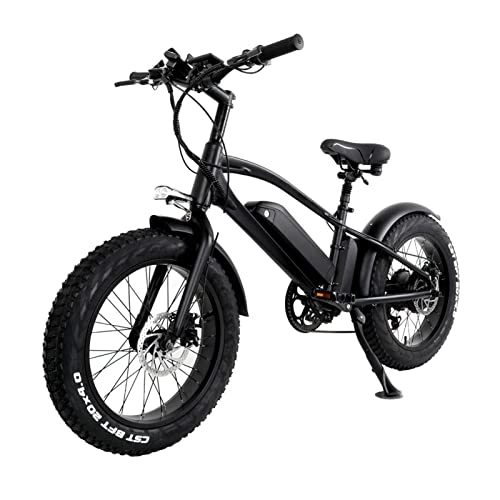 Electric Bike : LYUN Electric Bike for Adults 750W Mountain Electric Bicycle 10Ah Lithium Battery 20 Inch Fat Tire Electric Bicycle 45km / h (Color : 750W48V10AH)