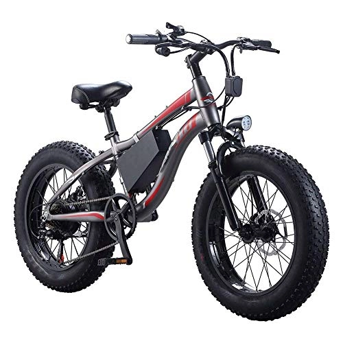 Electric Bike : WXDP Self-propelled Adults Beach electric bike, 250W waterproof motor 20 inch 4.0 fat tire electric bike 7-speed gear lever double disc brakes snowmobile removable battery