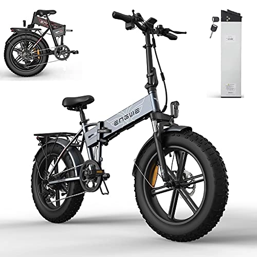Electric Bike : YIN QM 2pcs battery Electric bike 48V12.8A 20 * 4.0 fat Tire Snow e Bike 750W Powerful electric Bicycle 45KM / H Mountain / snow ebike, Gray