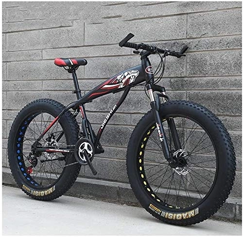 Fat Tyre Bike : Adult Mountain Bikes, Boys Girls Fat Tire Mountain Trail Bike, Dual Disc Brake Hardtail Mountain Bike, High-carbon Steel Frame, Bicycle, (Color : Red E, Size : 24 Inch 24 Speed)