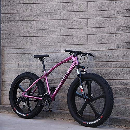Fat Tyre Bike : DULPLAY 26 Inch Fat Tire Bicycle, Men's High-carbon Steel Frame Hardtail Mountain Bikes, Men Women Students Variable Speed Bike Pink 5 Spoke 26", 24-speed