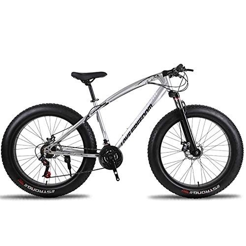 Fat Tyre Bike : DULPLAY 26 Inch Mountain Bikes Bicycle, Mountain Bike For Teens Adults Men Women, Double Disc Brake Fat Tire Mountain Bicycle Silver 26", 27-speed