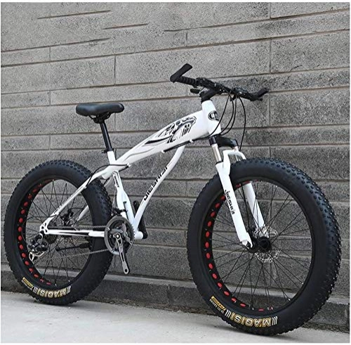 Fat Tyre Bike : HongTeng Adult Mountain Bikes, Boys Girls Fat Tire Mountain Trail Bike, Dual Disc Brake Hardtail Mountain Bike, High-carbon Steel Frame, Bicycle (Color : White C, Size : 24 Inch 21 Speed)