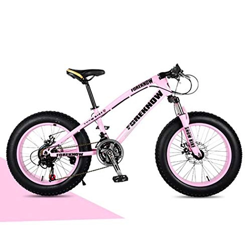 Fat Tyre Bike : Langlin 24" Mountain Bike Bicycle Comfort Fat Tire Bikes Beach Snow All Terrain Bike Variable Speed Bicycle High Carbon Steel Frame Double Disc Brake, pink, 24 inch 7 speed