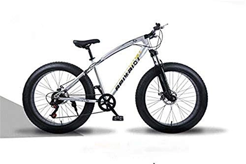 Fat Tyre Bike : Lightweight， Hardtail Mountain Bikes, Dual Disc Brake Fat Tire Cruiser Bike, High-Carbon Steel Frame, Adjustable Seat Bicycle Inventory clearance ( Color : Silver , Size : 24 inch 27 speed )