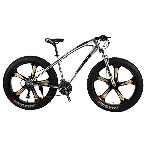 Fat Tyre Bike : LILIS Mountain Bike Folding Bike Bicycle MTB Adult Big Tire Beach Snowmobile Bicycles Mountain Bike For Men And Women 26IN Wheels Adjustable Speed Double Disc Brake (Color : Gray, Size : 24 speed)