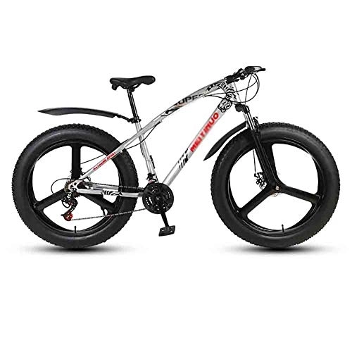 Fat Tyre Bike : LILIS Mountain Bike Folding Bike Bicycle MTB Adult Mountain Bikes Beach Bike Snowmobile Bicycles For Men And Women 26IN Wheels Double Disc Brake (Color : Gray, Size : 24 speed)