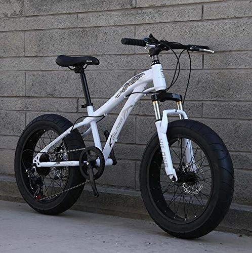 Fat Tyre Bike : LUO Bicycle, Fat Tire Bike Bicycle, Mountain Bike for Adults and Teenagers with Disc Brakes and Spring Suspension Fork, High Carbon Steel Frame, D, 20Inch 27 Speed, A, 20inch 7 Speed