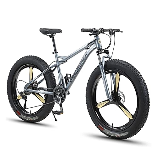 Fat Tyre Bike : Tbagem-Yjr 26 Inch Mountain Bikes Dual-Suspension Mountain Bikes With Dual Disc Brake Adults 7-30 Speed Bicycle Adult Men Women Fat Tire Mountain Trail Bike 3 Knife Wheels Grey (Size : 21speed)