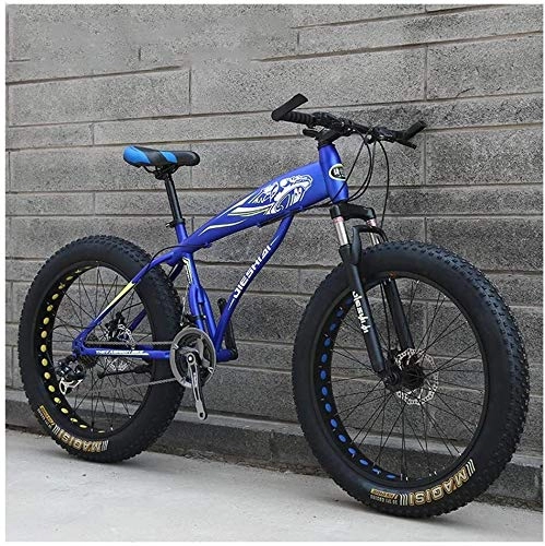 Fat Tyre Bike : WEN Adult Mountain Bikes, Boys Girls Fat Tire Mountain Trail Bike, Dual Disc Brake Hardtail Mountain Bike, High-carbon Steel Frame, Bicycle (Color : Blue E, Size : 24 Inch 27 Speed)