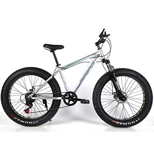 Fat Tyre Bike : YOUSR Mountain Bicycles Dual Disc Brake Mountain Bicycles Folding For Men And Women Silver 26 inch 27 speed