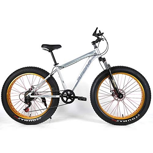 Fat Tyre Bike : YOUSR Mountain Bikes Snow Bike Mens Bike Folding Unisex's Silver 26 inch 30 speed