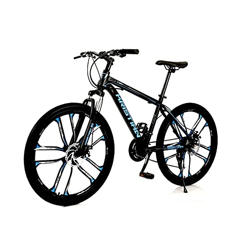 Folding Bike : FEIFEImop Ten Blade Wheels 25 Inches (about 65 Cm) Foldable Mountain Bike Tires, Very Shock-absorbing, 30-speed Gearbox, Mechanical Disc Brakes, Can Be Used In Urban And Rural Areas, Blue