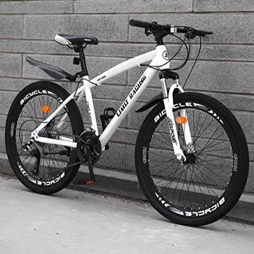 Mountain Bike : Adult Mountain Bike, High-Carbon Steel Frame Beach Bicycle, Double Disc Brake Off-Road Snow Bikes, Aluminum Alloy 24 Inch Wheels