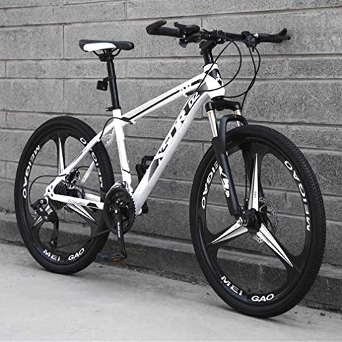 Mountain Bike : Adult Mountain Bike, High-Carbon Steel Frame Bicycle, Snowmobile Bikes, Double Disc Brake Beach Bicycles, 24 Inch Wheels