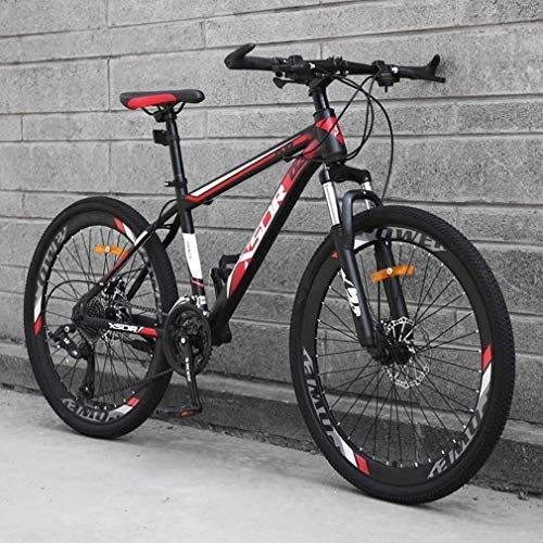 Mountain Bike : Adult Mountain Bike, Snowmobile Bikes, Double Disc Brake Beach Bicycle, High-Carbon Steel Frame Bicycles, 24 Inch Wheels