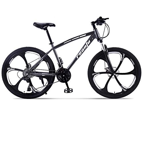 Mountain Bike : DGAGD 24 inch mountain bike adult six-blade one-wheel variable speed dual-disc bicycle-Black gray_24 speed