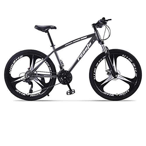 Mountain Bike : DGAGD 24 inch mountain bike adult tri-pitch one-wheel variable speed dual-disc bicycle-Black gray_27 speed