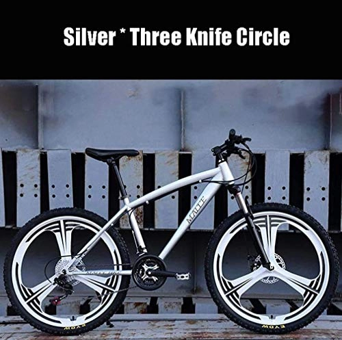 Mountain Bike : GQQ Variable Speed Bicycle, Adult Mountain Bike, Beach Snowmobile Bike Dual Disc Brakes for Bicycles, Aluminum Rims 24 Inches, Man Woman General, Blue, 21 Speed, Silver