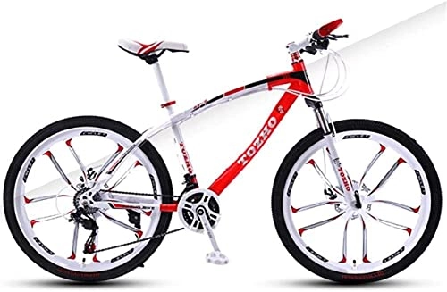 Mountain Bike : HUAQINEI Mountain Bikes, 24 inch mountain bike adult variable speed damping bicycle double disc brake ten-wheel bicycle Alloy frame with Disc Brakes (Color : White Red, Size : 24 speed)