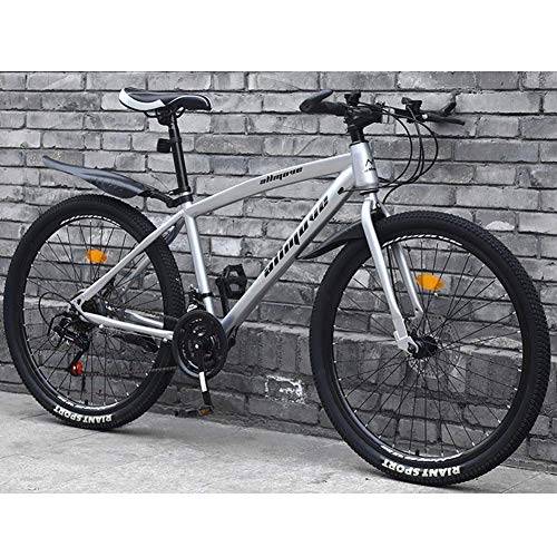 Mountain Bike : Stylish Mountain Bike Double Disc Brake 30 Speeds Mountain Bikes Bicycles Lightweight Carbon Steel Frame, Gray, 26inch