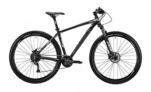 Road Bike : Mountain Bike Hardtail Toploader 29"Front / Whistle Patwin 1832, 27Speed, Anthracitematt black, size M 19" (170185cm)