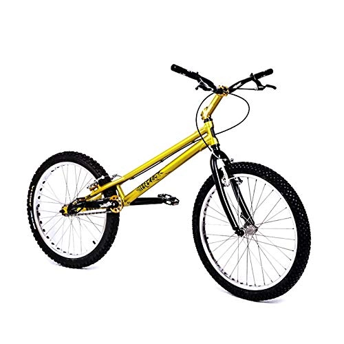 BMX : 24Imch Professional Street Bike-Street-Trial-Fahrräder, geeignetes, ausgefallenes Klettern für Anfänger-Ebene zu fortgeschrittenen Fahrern