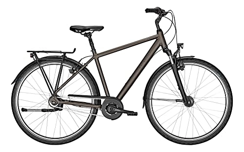 City : Kalkhoff Image HS R City Bike 2022 (28" Herren Diamant L / 55cm, Crystalgrey Matt (Herren))