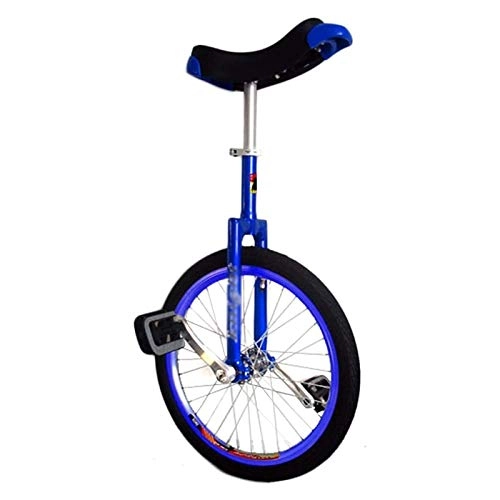 Einräder : AHAI YU Kleinere Kinder / Kleinkinder / Säuglings-12-Zoll-Rad-Unicycle, deren Alter unter 5 Jahren, Kindergarten / Schule / Außenbalance Radfahren Einräder, bequemer Sitz (Color : Blue)
