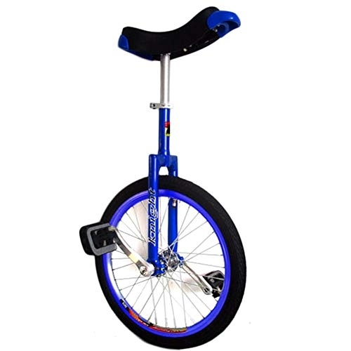 Einräder : HWF Einrad Kinder Klein 12" Einrad für 5 Jahre Alte Kinder / Jungen / Mädchen, 16" Einrad für Kinder, 20" / 24" Einrad für Erwachsene, Einrad mit Alufelge (Color : Blue, Size : 24 Inch Wheel)