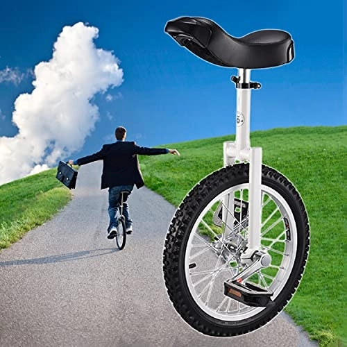 Einräder : OHKKSD 20 Zoll Einrad für Erwachsene, Rad Einrad mit Alufelge Outdoor Sports Fitness Übung Gesundheit, Familie und Freunde