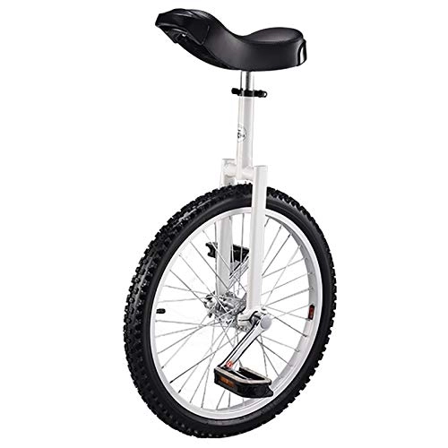 Einräder : TTRY&ZHANG 20-Zoll-Rad-Einrad für Kinder / Anfänger / männlich Teenager, mit Legierungsrand & Skidfest Reifen & Einrad-Stand, Spaß-Fitness-Balance-Radfahren (Color : White)