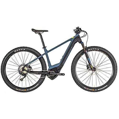 Elektrofahrräder : Bergamont E-Revox Expert 29 Pedelec Elektro MTB Fahrrad grau / schwarz 2019: Gre: L (176-183cm)