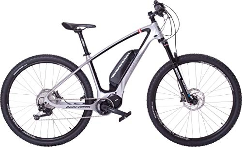Elektrofahrräder : Bärenbikes Carbon 900 (21'')