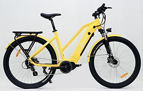 Elektrofahrräder : Cycle Denis Rider 27, 5 e-MTB Elektrofahrrad ebike M-45cm Expedition EU Garantie