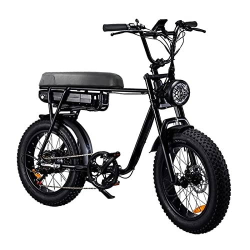 Elektrofahrräder : Power Assisted Electric Bicycles Electric Bicycle 20 Inch Trekking Bike E-City Bike with 48 V Lithium Battery, LCD Display-Black