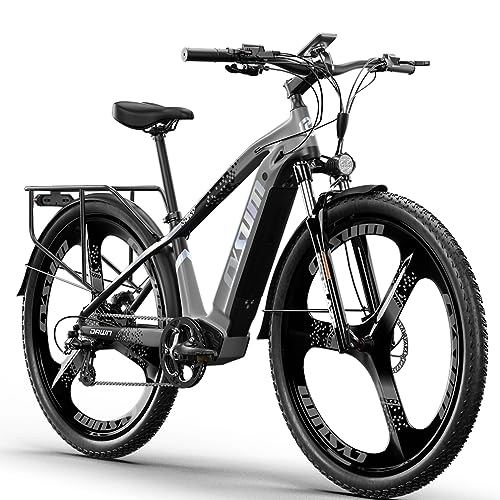 Elektrofahrräder : PRASHANT M520 Elektrofahrräder 29'' E- Mountainbike für Herren und Damen, E-Bike mit 55Nm 672Wh (grau)