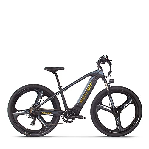 Elektrofahrräder : RICH BIT TOP-520 E-Bike Männer Frauen, 29 Zoll 500W Motor E-Mountainbike, 48V * 10AH Lithium-Ionen-Akku E-Bike, 7-Gang-Elektrofahrrad (Gold)
