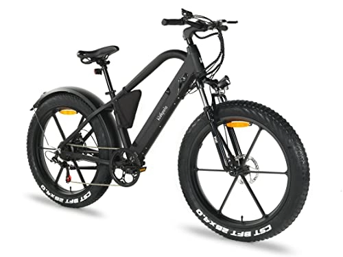 Elektrofahrräder : Woopela Piet 26 Zoll Fatbike E-Bike Mountainbike Elektrofahrrad Shimano 6 Gang-Schaltung EU-konform 48V / 250 W Motor Batterie abnehmbar Elektrik Bike 25 km / h Disc-Brake