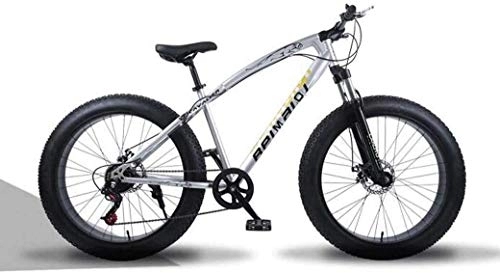 Mountainbike : Aoyo All Terrain Gebirgsfahrrad, 26 Zoll Fat Tire Hardtail Mountainbike, Doppelaufhebung Rahmen und Federgabel, for Männer und Frauen Erwachsener, (Color : Silver Spoke, Size : 27 Speed)