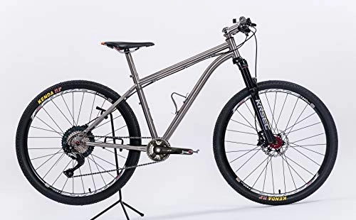 Mountainbike : ATCN Titanium Bike für Erwachsen und Jungen (46, 29)