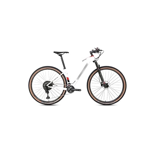 Mountainbike : Fahrräder für Erwachsene, 24 Speed MTB Carbon Fiber Mountain Bike mit 2 x 12 Shifting 27, 5 / 29 Zoll Off-Road Bike (Color : White, Size : L)