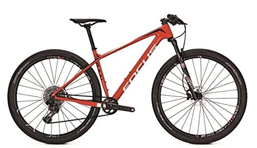 Mountainbike : Focus Herren Mountainbike 29 Zoll rot Weiss Raven Max Team - 12 Gänge Trekking Sram